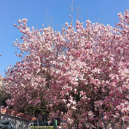 Il Mare A Un Passo Da Casa Samy Intero 6 Posti Letto 60 Mt セストリ・レヴァンテ