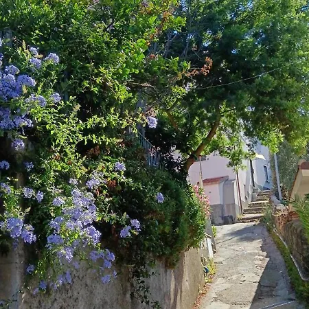 Lägenhet Il Mare A Un Passo Da Casa Samy Intero 6 Posti Letto 60 Mt Sestri Levante