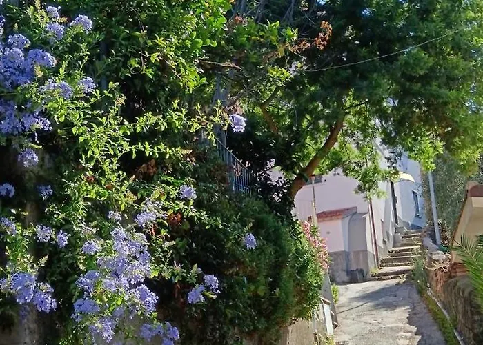 Apartmán Il Mare A Un Passo Da Casa Samy Intero 6 Posti Letto 60 Mt Sestri Levante